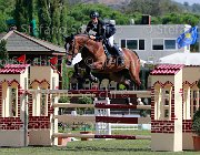 Leonardi Lasciva Giovanili2013  S5 4426 : Arezzo Equestrian Centre, Lasciva del Terriccio, Leonardi Matteo, foto di Stefano Secchi ©. Campionati Italiani Giovanili 2013